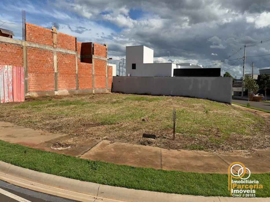 WhatsApp Image 2026-02-10 at 18.26.30.jpeg